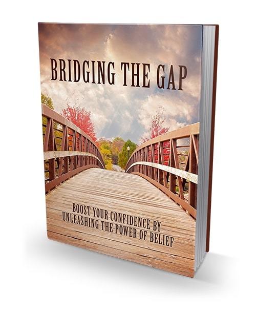 Product picture Bridging The Gap